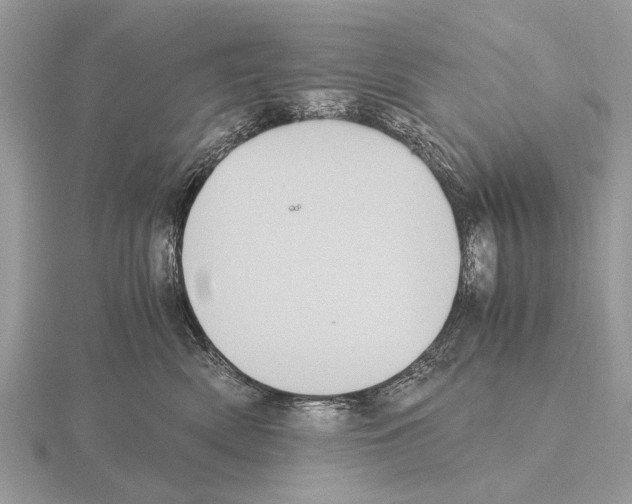 X0000115340522200912141242