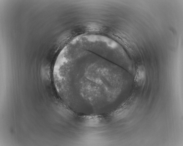 X0000115340524200912141242