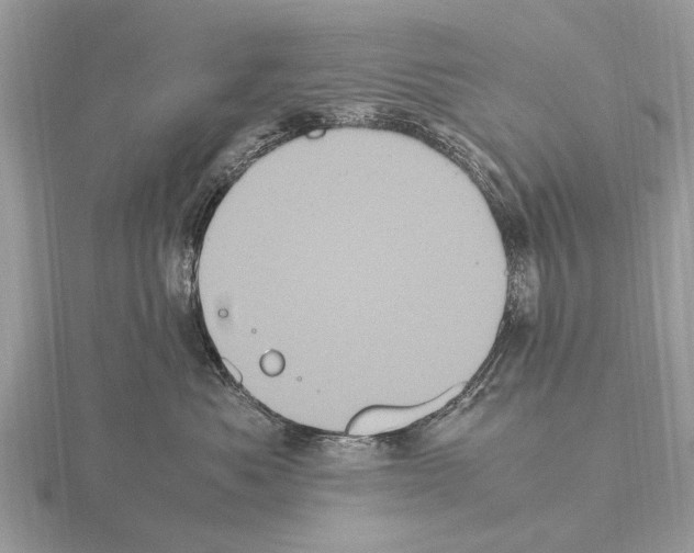 X0000115340525200912141242