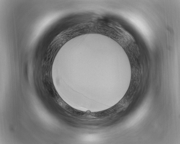 X0000115340526200912141242