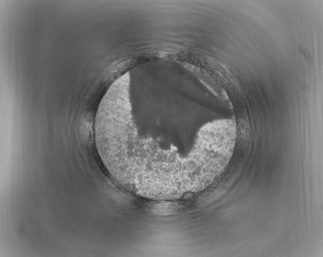 X0000115340527200912141242