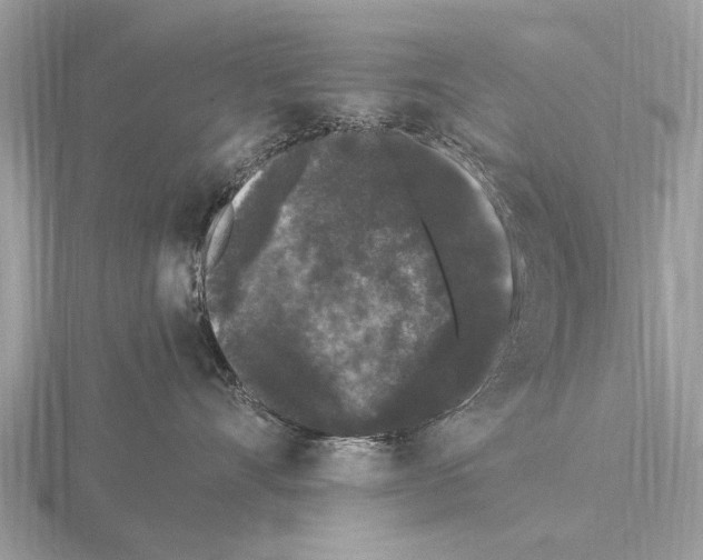 X0000115340528200912141242