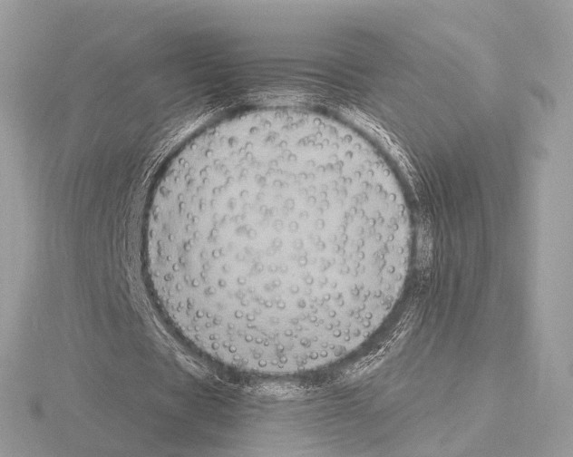 X0000115340529200912141241