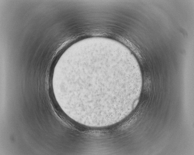 X0000115340530200912141241