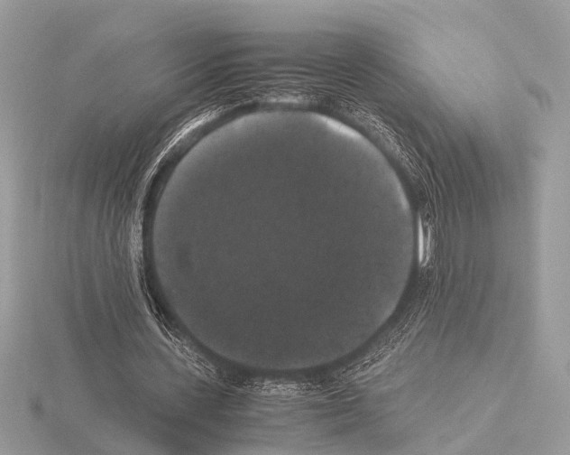 X0000115340531200912141241