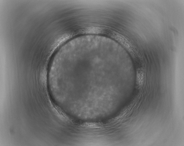 X0000115340534200912141241