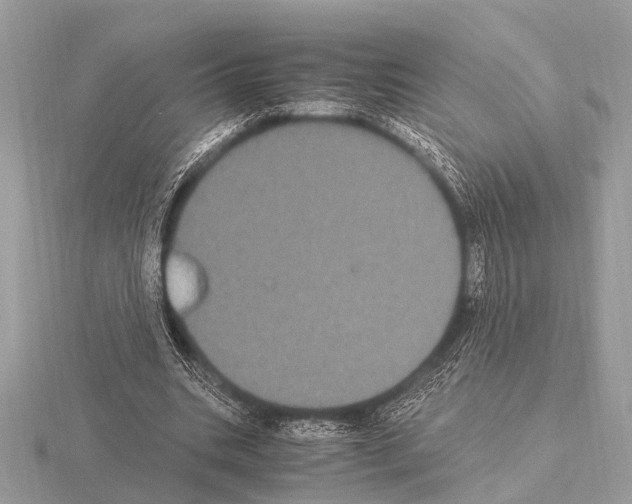 X0000115340535200912141241