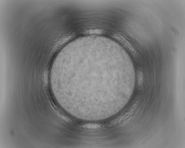 X0000115340537200912141241