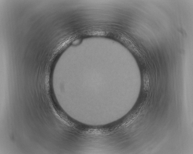 X0000115340538200912141241