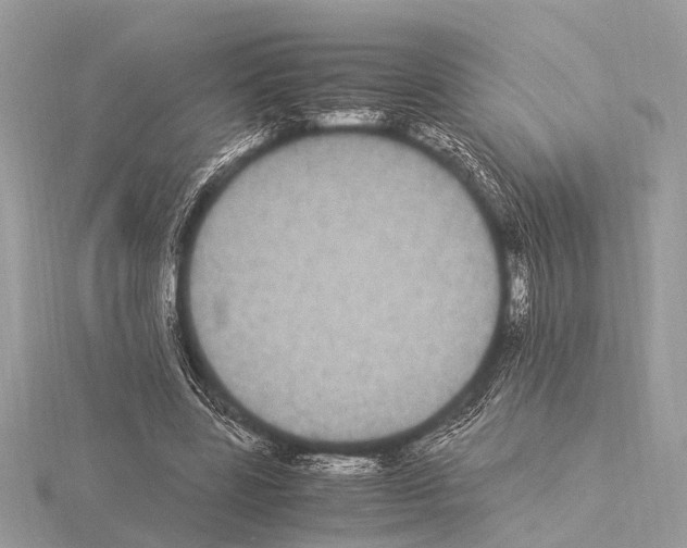 X0000115340539200912141241