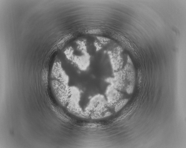 X0000115340542200912141241