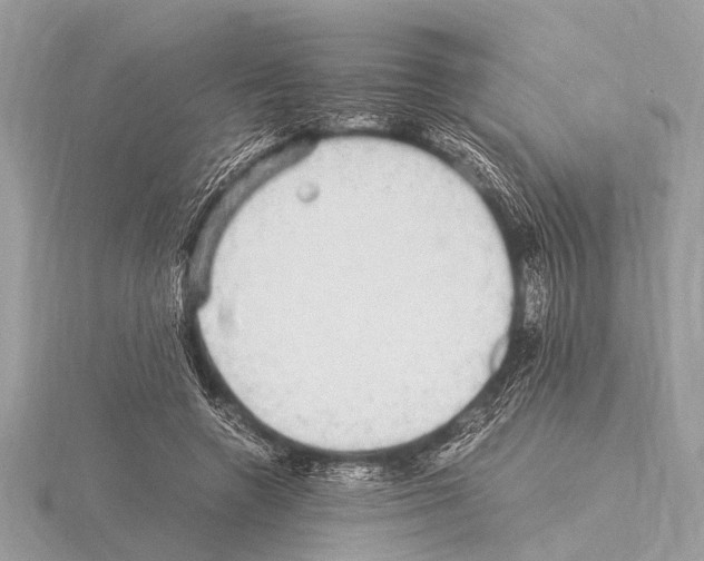 X0000115340546200912141241