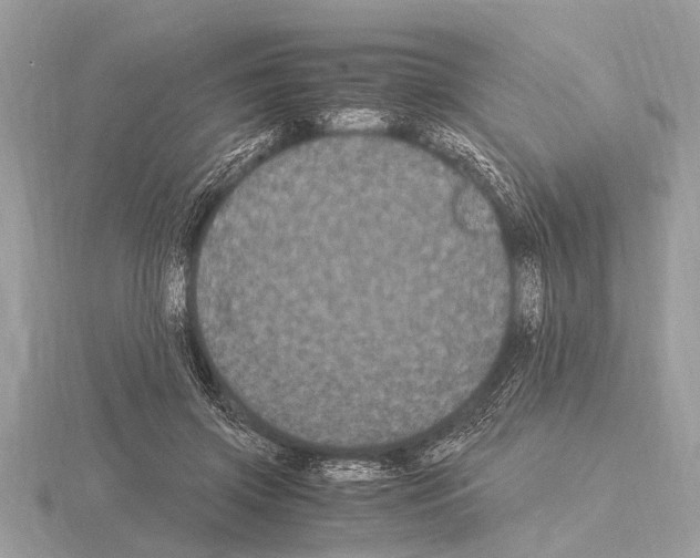 X0000115340549200912141241