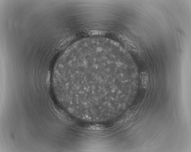 X0000115340550200912141241