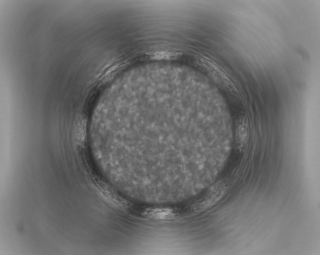 X0000115340554200912141241