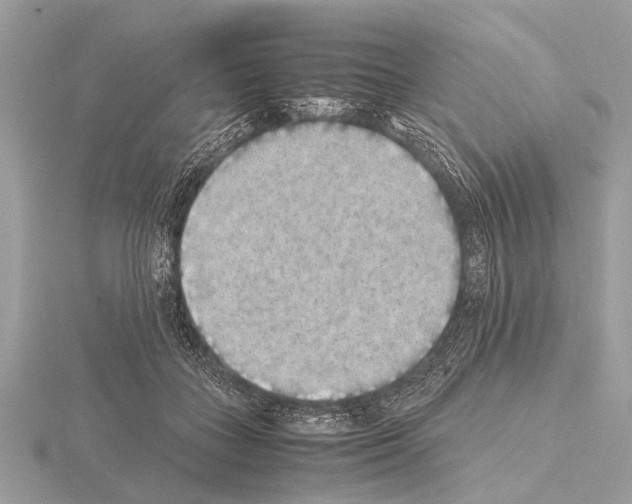 X0000115340555200912141241