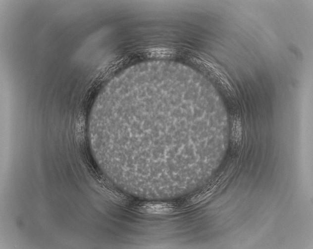 X0000115340557200912141241