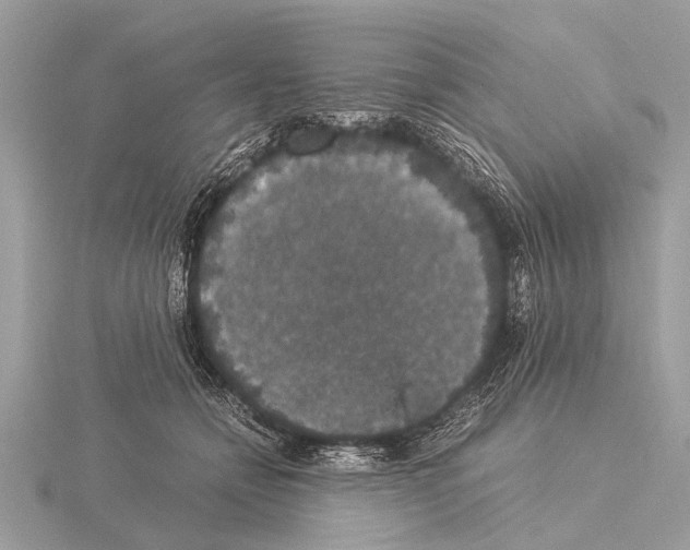 X0000115340558200912141241