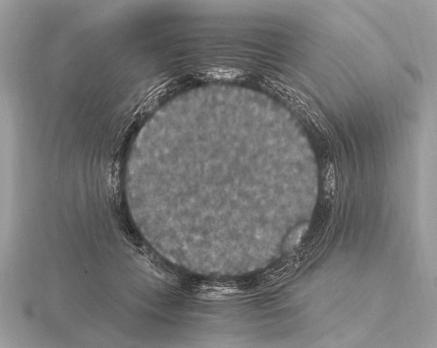 X0000115340559200912141241