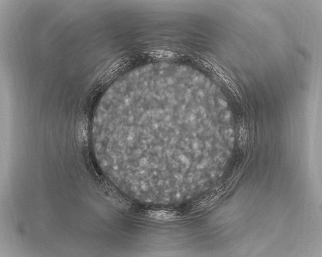 X0000115340561200912141241