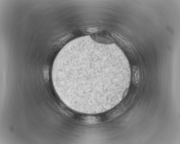 X0000115340562200912141241