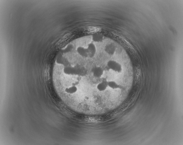 X0000115340565200912141242