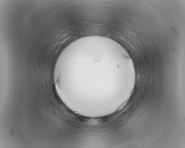 X0000115340566200912141242