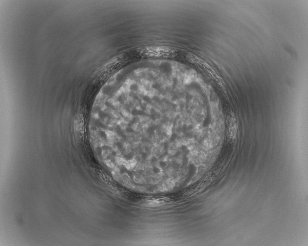 X0000115340569200912141242