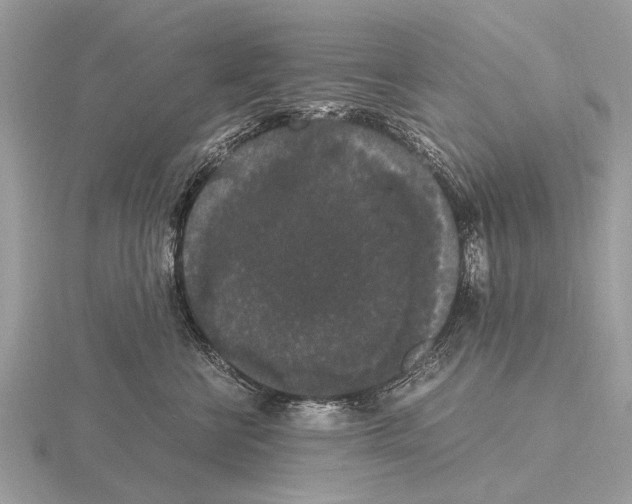 X0000115340570200912141242