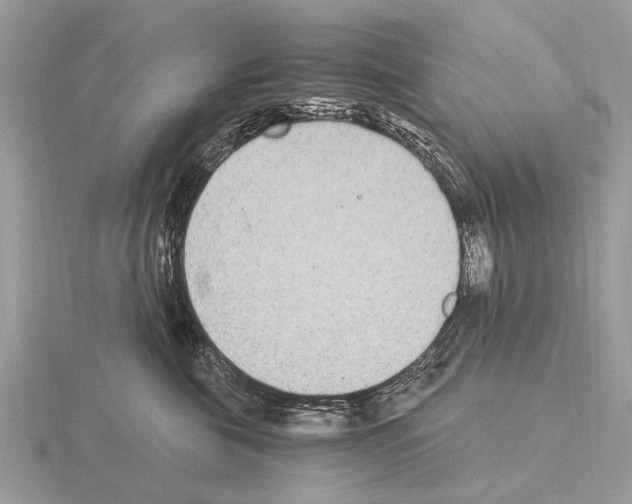 X0000115340571200912141242