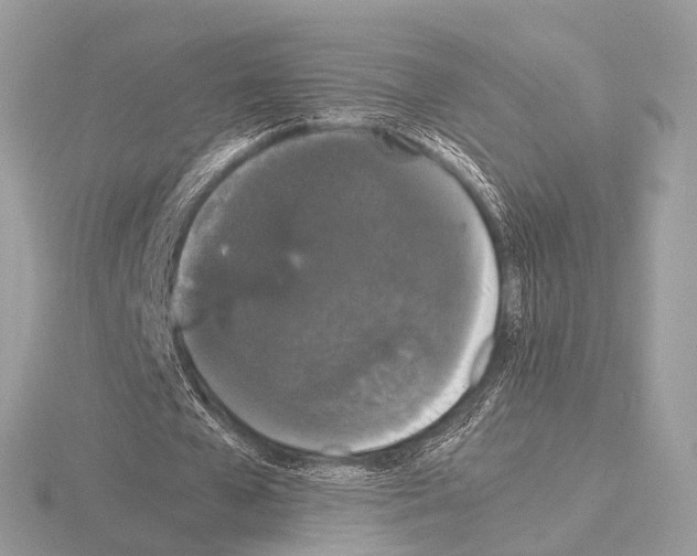 X0000115340577200912141241