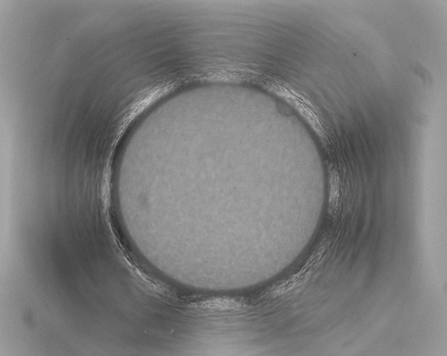 X0000115340578200912141241