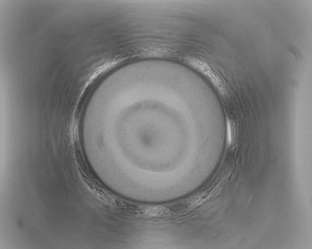 X0000115340579200912141241