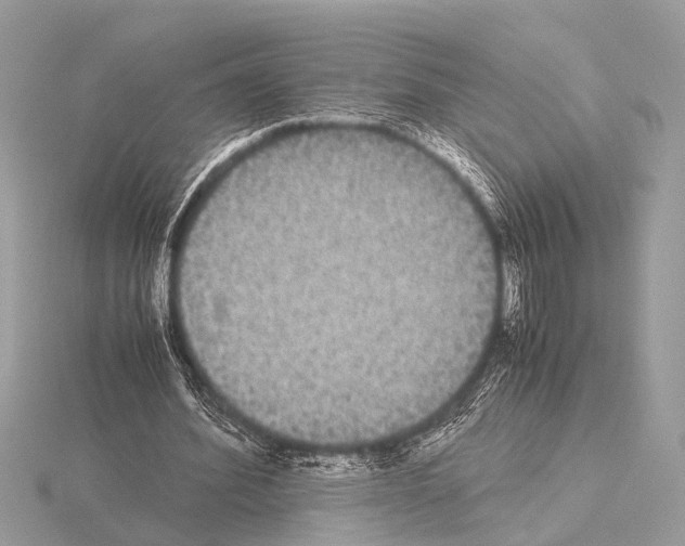 X0000115340580200912141241