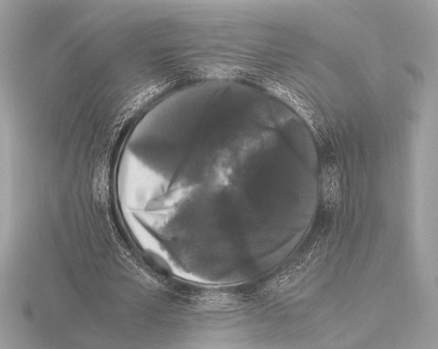 X0000115340581200912141241