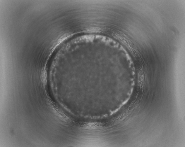 X0000115340584200912141241