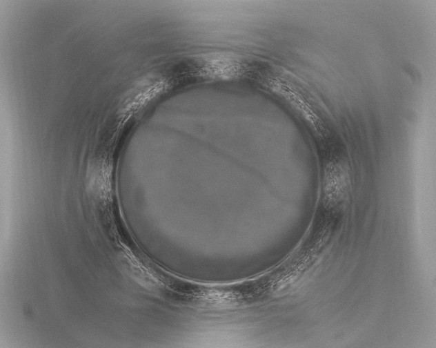 X0000115340585200912141241