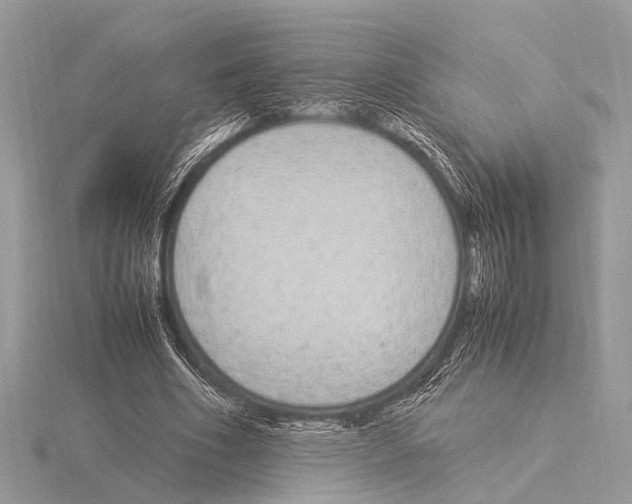 X0000115340586200912141241