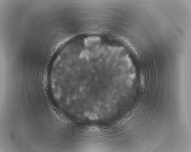 X0000115340588200912141241