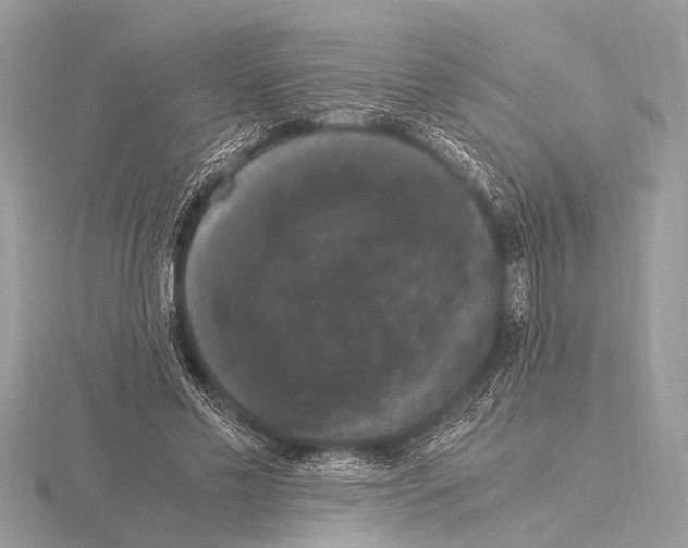 X0000115340589200912141241