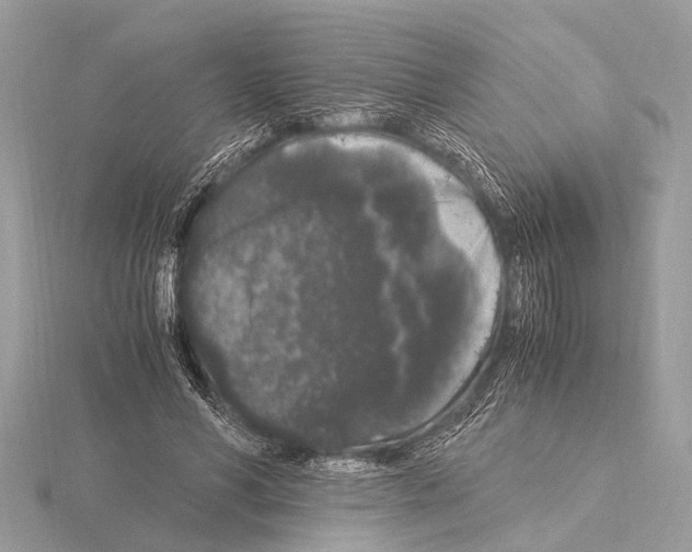 X0000115340590200912141241