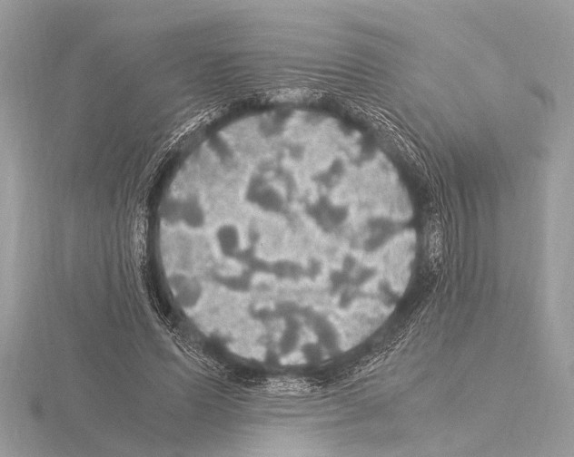 X0000115340591200912141241