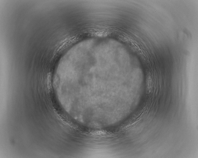 X0000115340594200912141241