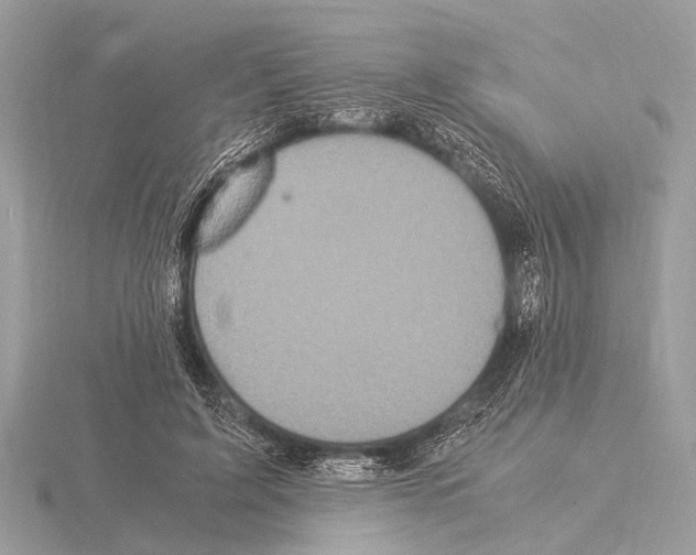 X0000115340595200912141241