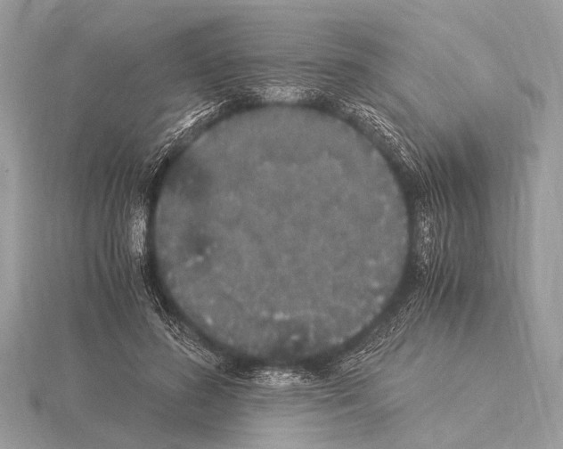 X0000115340596200912141241