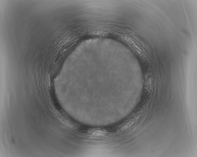 X0000115340597200912141241