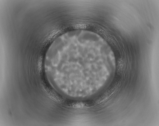 X0000115340600200912141241