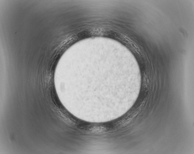 X0000115340601200912141241