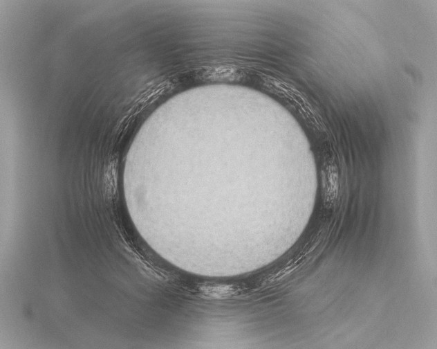 X0000115340602200912141241