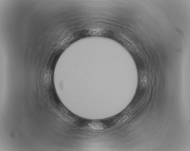 X0000115340603200912141241